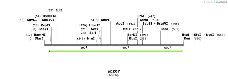 158664_map