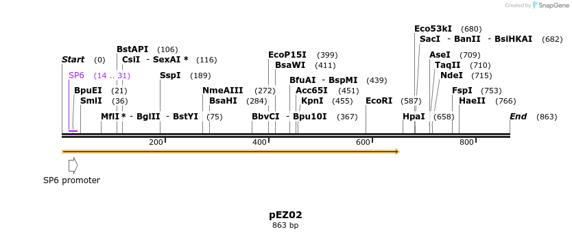 158666_map