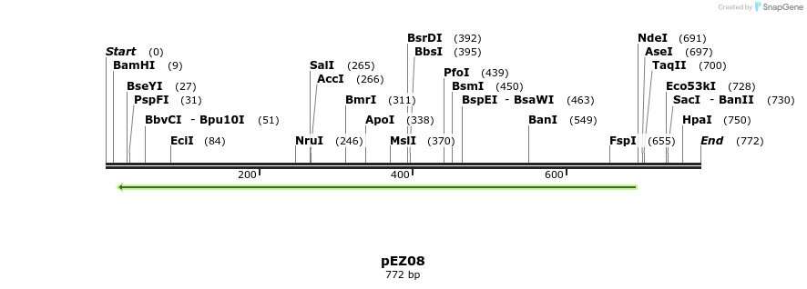 158677_map