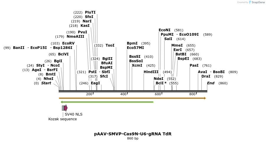 158684_map