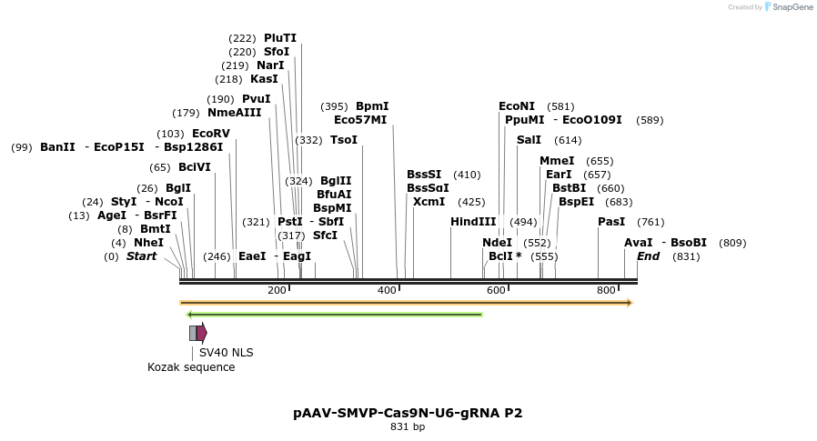 158686_map