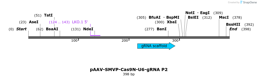 158687_map