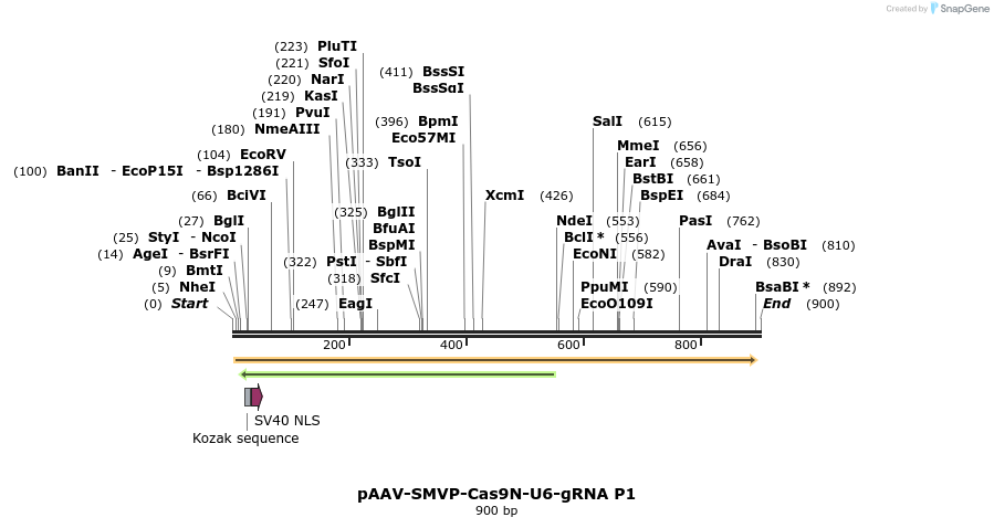 158693_map