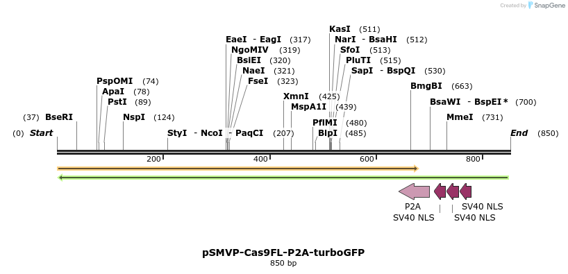 158702_map