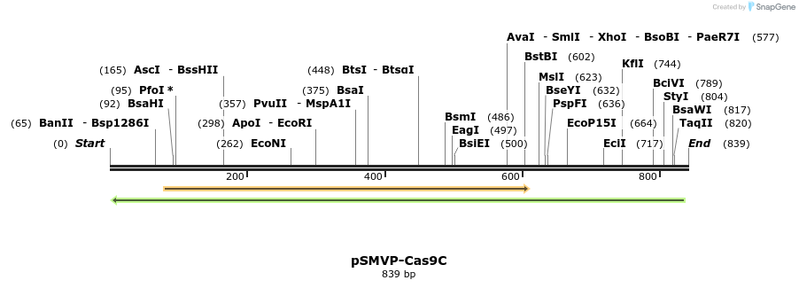 158708_map