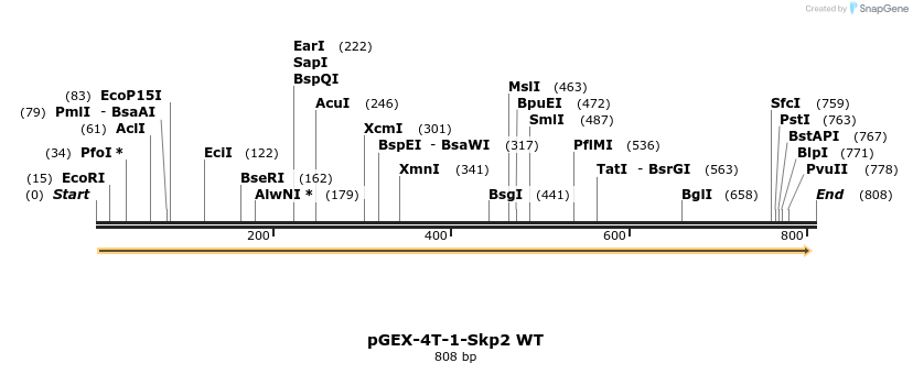 158731_map