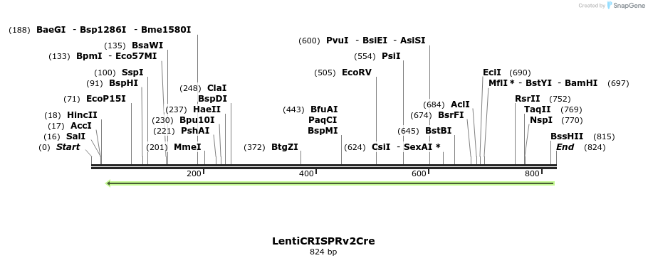 158734_map