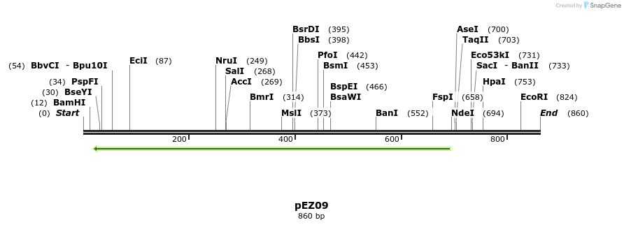 158735_map