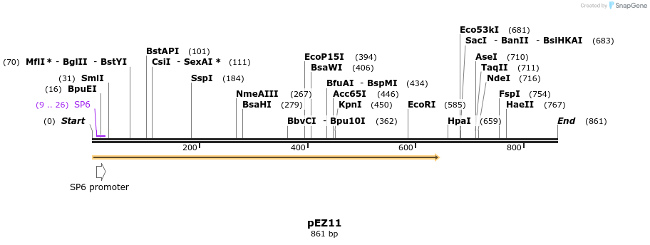 158742_map