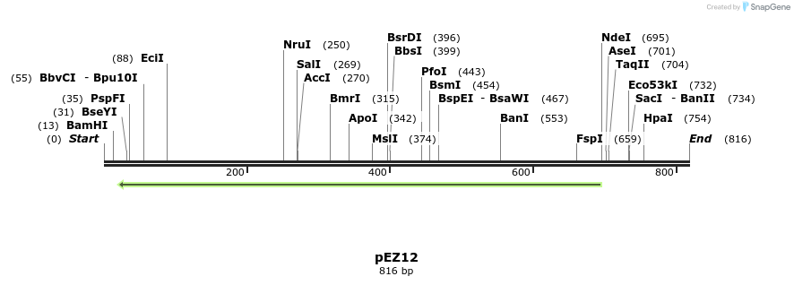 158743_map
