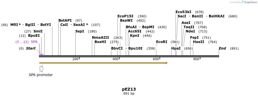 158746_map