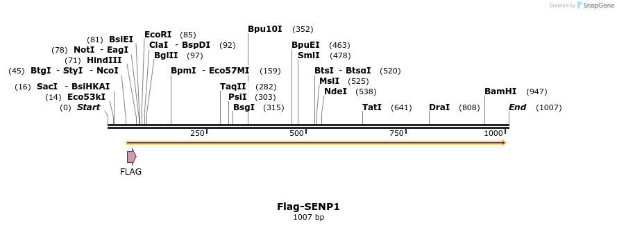 158750_map