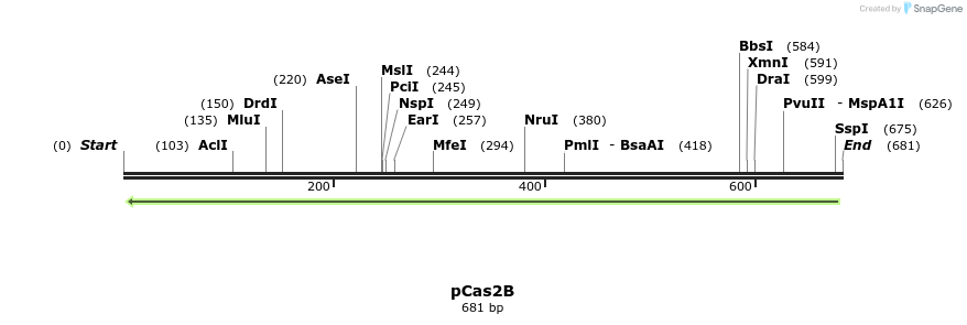 158754_map