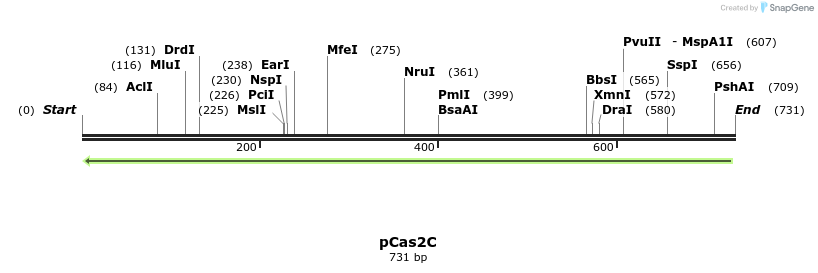 158756_map