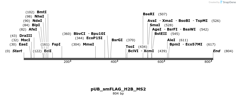 158763_map