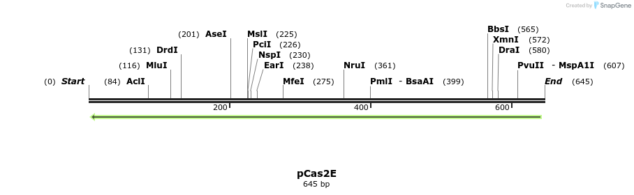 158766_map