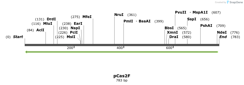 158772_map