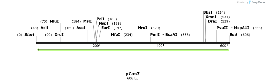 158773_map