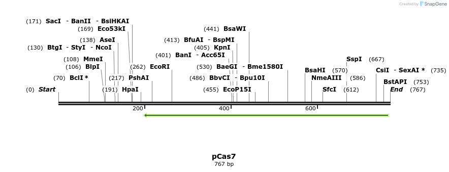 158776_map