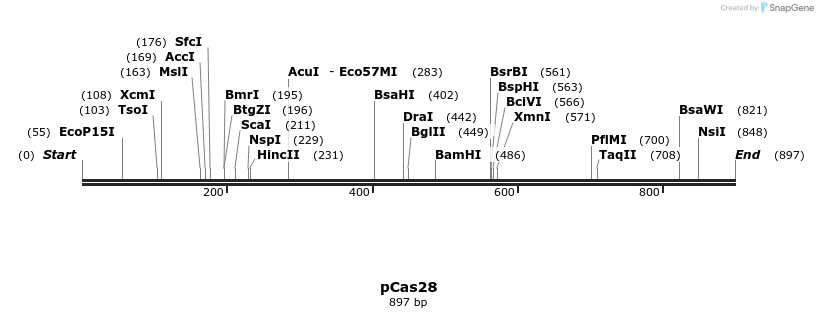 158787_map