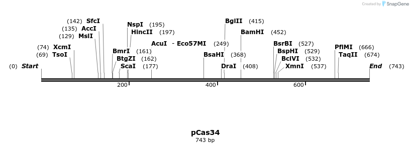 158790_map