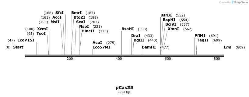 158795_map