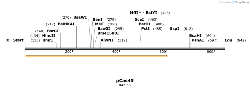 158798_map