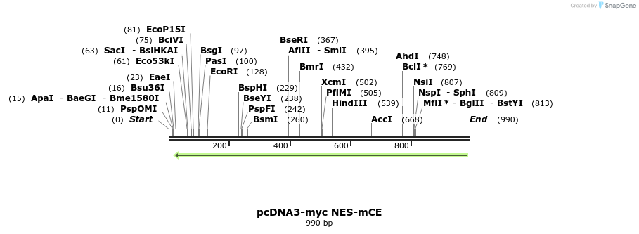 158801_map