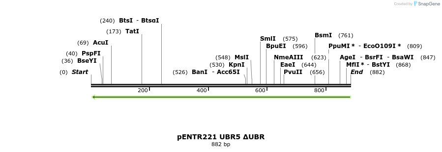 158807_map