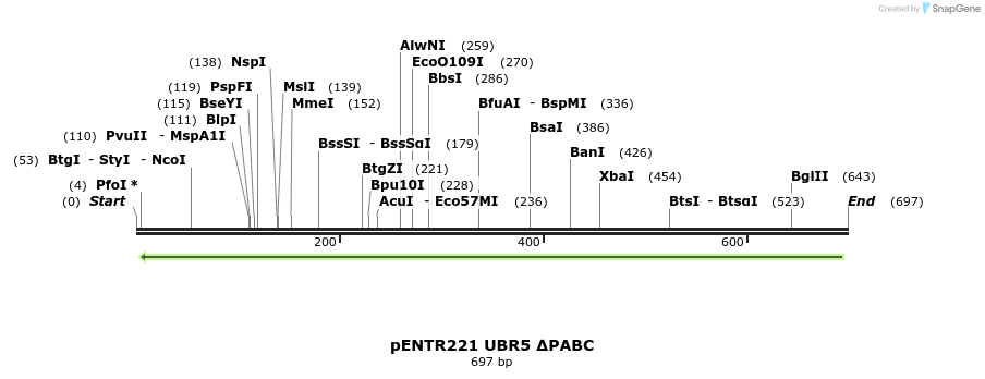 158809_map