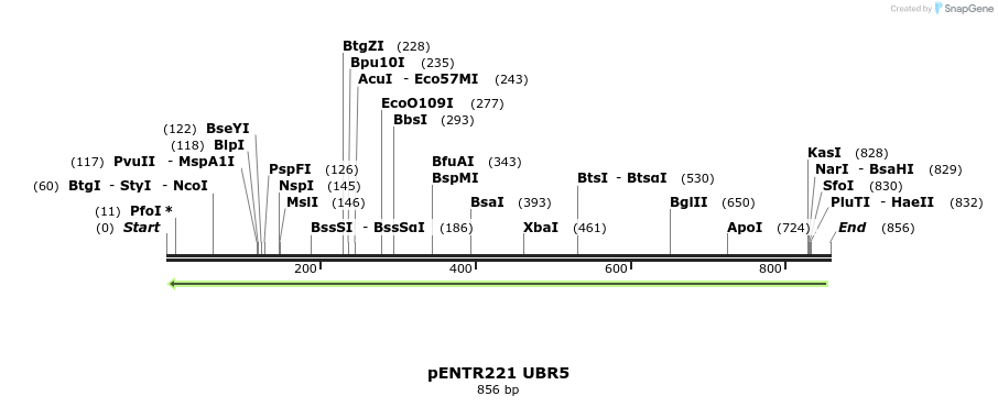 158811_map