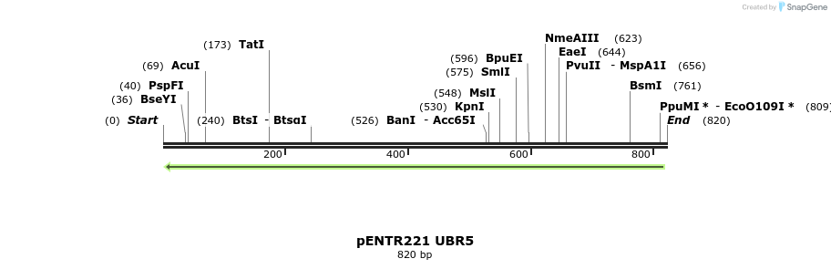 158812_map