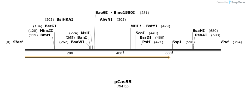 158819_map