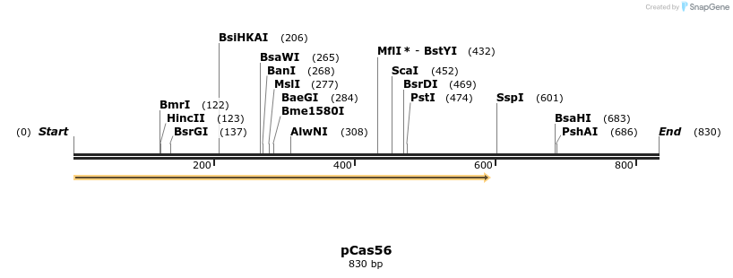 158821_map
