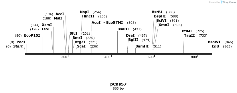 158824_map