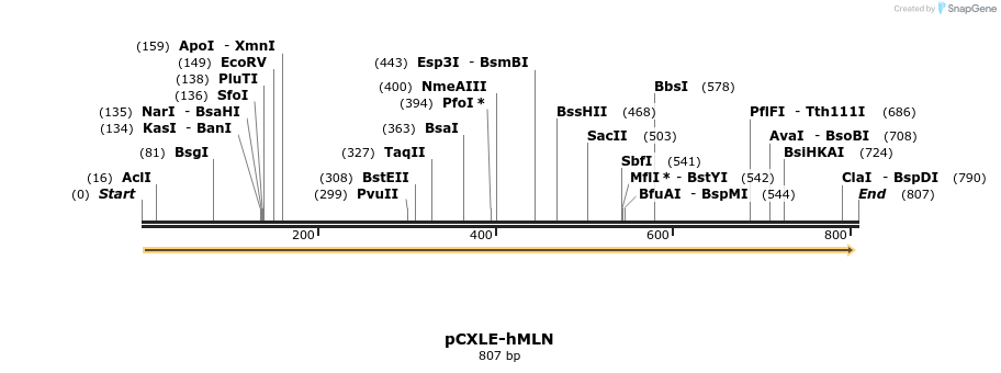 158825_map