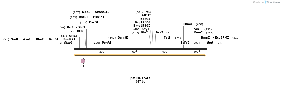 158826_map