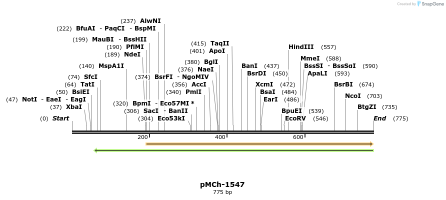 158827_map