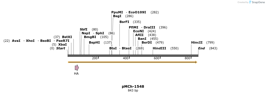 158828_map