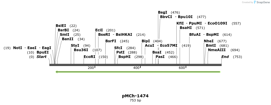 158838_map