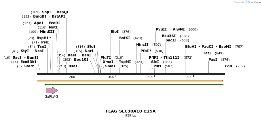158839_map