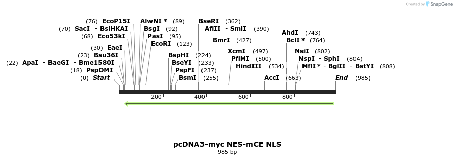 158842_map