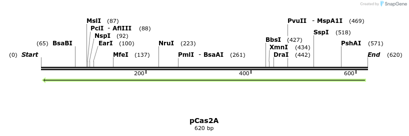 158847_map