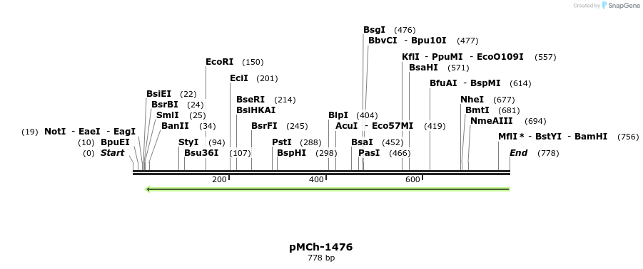 158849_map