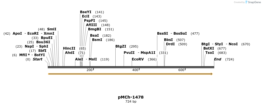 158862_map