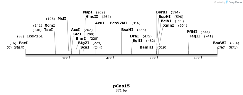 158864_map
