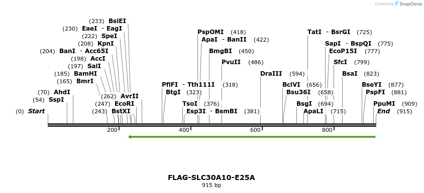 158869_map