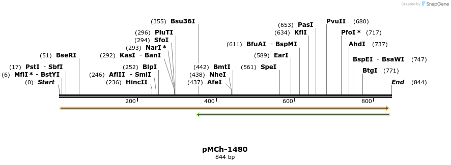 158876_map