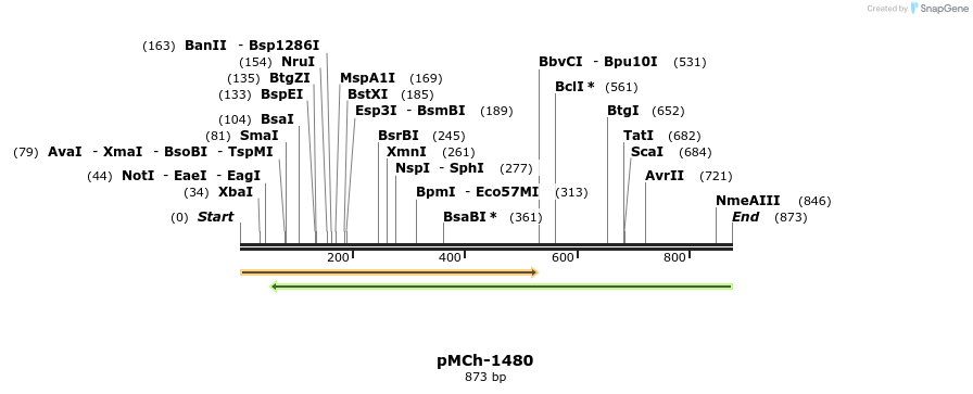 158877_map
