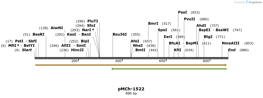 158881_map